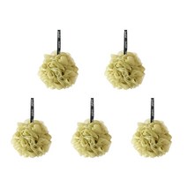 퓨어컬러 샤워볼 M01, 타입5, 5개