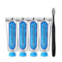 덴티본조르노 치석케어 치약 100g x 4p + 미세모 칫솔 세트, 1세트