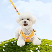 래핑찰리 강아지 이지 세이프 해충방지 하네스, 옐로우