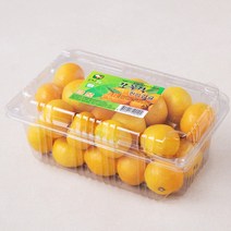 GAP 인증 올레길 쪼꼴락 당도선별 한입 감귤, 1.2kg, 1박스