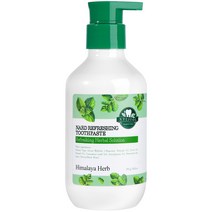 부케가르니 나드 구취케어 펌핑 치약, 370g, 1개