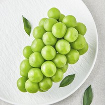 영길팜 당도선별 샤인머스캣, 500g, 1개 상품 이미지
