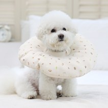 리토가토 반려동물 일체형 쿠션 넥카라 코코팜 M, 140g, 1개