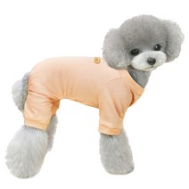 딩동펫 반려동물 파스텔 올인원, 오렌지