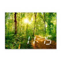 홈마인 LED 시계 캔버스 프린팅 액자 자연 A3, A3-HM-ECO-24