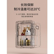 미니냉장고 Xinfei 12L 자동차 차량용 미니 냉장고 소형 가정용 렌탈 시스템 냉장 기숙사 침실 화장품 싱글, [08] 12L 커피 골드/조명/화장품 거울/페인트