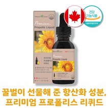 프리미엄 프로폴리스 리퀴드 원액 수용성 폴리폴리스 액 플로폴리스 추출물 건강기능식품 플라보노이드 스포이드 캐나다 액상 액상형 항산화 구강 항균작용 영양제 약1개월분, 1병