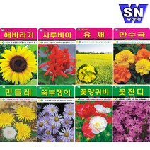 SN월드 야생화 씨앗 꽃씨앗 모음, 야생화 - 비비추(300립)
