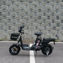 전동 전기스쿠터 타이탄500 48V, 13ah