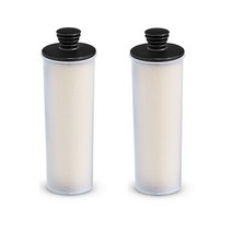 스팀클리너부품 karcher sc2 sc3 용 1pcs 스팀 청소기 정수기 석회질 제거 카트리지 깨끗한 물 석회질 제거 필터 프리미엄 직립