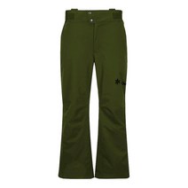 골드윈 스키 팬츠 2122 GW M`S ALPINE PT DKG
