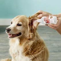 강아지귀염즘약 소독약 설포딘 이어클리너+넥카라세트, 이어클리너+넥카라XS (7호)