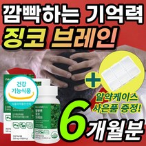 간편한 대용량 브레인 징코 두뇌 기억력 집중력 감퇴 저하 혈행 혈액 순환 개선 도움 플라보놀배당체 은행잎 은행입 추출물 함유 + 알 약 케이스 증정, 1개, 6개월분 / 2통 + 케이스