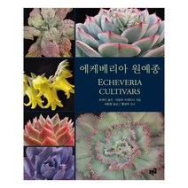 유니오니아시아 에케베리아 원예종