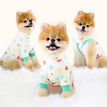 아스터슈 홈웨어 강아지 티셔츠 겨울옷, 나시티