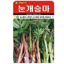각종 병예방 노화방지 삼나물 눈개승마 500립