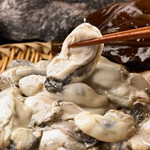 [산지직송] 국내산 여수 생굴 1kg/2kg/3kg, 01.국내산 여수 생굴 1kg, 1개