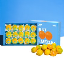 [추석선물] 제주 산지직송 감귤 황금향 선물세트 반반세트, 2kg, 제주 황금향 (선물세트)