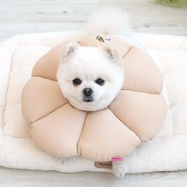 패리스독 꿀잠카라 베이지 (사이즈선택), 꿀잠 베이지-L