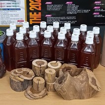 국내산 50-100년산 명품 웰빙 꾸지뽕 나무 원액 500ml 60병-구지뽕 효능 효과