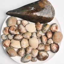 모듬조개세트3kg 캠핑조개 조개구이 3인분, 상세페이지 참조