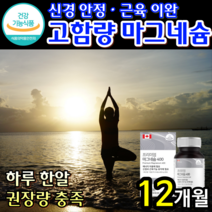 [식약처 인증 고함량 100% ] 마그네슘 프리미엄 눈가 눈주변 눈주위 팔 다리 저림 떨림 발에 쥐날때 떨릴때 먹는 영양제 보충제 효과 에좋은 마그네숨 마그내슘 알약 용기 증정, 12개월 [수량한정 초특가할인]