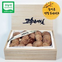 명절 선물세트 VIP 당일수확 무농약 고송버섯 약1.8kg, 없음