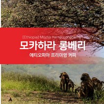 에티오피아 모카하라 롱베리 생두 Mocha Harrar Longberry, 1KG, 1kg, 1개