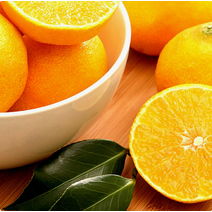 제주 황금향 2.5kg (15/20) 황금향선물세트, 상세페이지 참조