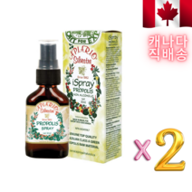 인후염에 좋은 꿀벌 프로폴리스 스프레이 30ml 2개