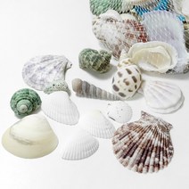 조개 소라 껍데기 혼합 첨가물(약 150g) 젤캔들 diy 만들기 재료 파츠 바다향초 양초