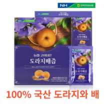 전북농협 농협 고이담은 도라지배즙 70ml x 30포 100% 국산 액상차 대추 쌍화 생강 홍삼 60Brix 농축액 프락토올리고당 비타민c b1 b2 다이어트 면역력, 30포X14개