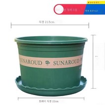 ZZJJC 화분 대전다육플라스틱 특대호 월계다육분재 화분수지갤런 화분, 왜소3호[구경22cm]3개입, 화분받침(비료 보내기+뿌리가루)함유