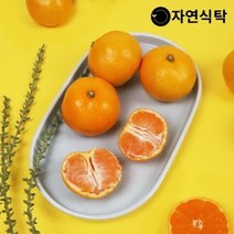 자연식탁 [산지직송]제주 고당도 하우스감귤 2.5kg 랜덤과(못난이)