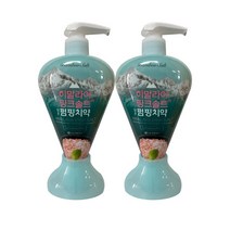 죽염 히말라야 핑크솔트 펌핑치약 아이스카밍민트, 285g, 2개입