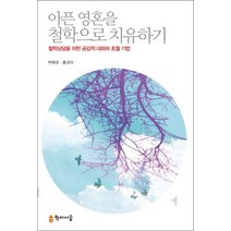 아픈 영혼을 철학으로 치유하기:철학상담을 위한 공감적 대화와 초월 기법, 학이시습, 박병준,홍경자 공저