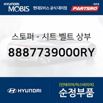 스토퍼-시트 벨트 상부 (8887739000RY)-현대모비스 부품 공식대리점 온라인쇼핑몰 파츠로 엑센트