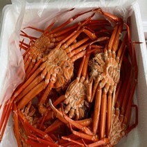 속초홍게 자숙홍게 박달홍게 3kg (10미내외), A급 수율 70~80% 3kg(10미내외)