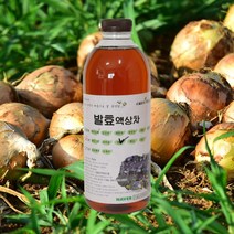 [자연미가] 양파 효소액 1000mlx1병 /ss 자연숙성 발효액100%, 상세 설명 참조,상세 설명 참조, 1병, 1000ml