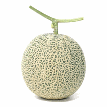 당도선별 머스크 메론 8kg (공주 부여 칠갑산), 8kg 5~6수