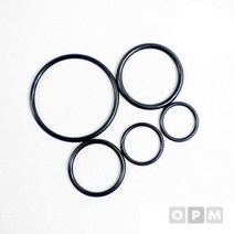 바이톤 오링 P계열 P-255/254.5 x 8.4, 없음