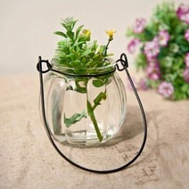 틸란드시아 투명유리 행잉화분꽃병 7cm 10평대인테리어 책상 우스네오데스 공중정원