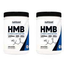 뉴트리코스트 HMB 1000mg 파우더 분말 250g 2개