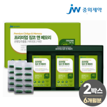 프리미엄 징코 앤 메모리 식약처 인증 두뇌 기억력 인지력 혈행 개선 은행잎 추출물 영양제, 2박스, 90캡슐