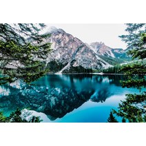 Laeacco 자연 배경 산 눈 호수 나무 소나무 벽지보기 사진 배경 사진 스튜디오|배경|, 단일(A2), 1개(A2), Thin Cloth 120x80cm(A2)