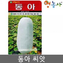 동아씨앗 20립