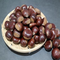 달달한 햇밤 삼조생 밤 알밤 대 1kg 칼집없음