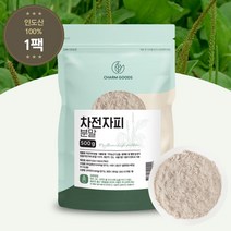 차전자피분말 가루 질경이껍질환 질경이씨앗 리필 500g 인도산, 1팩