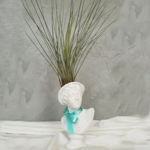 아트박스/모리아트 대만여인 석고상화분 틸란드시아 준세아+모스+리본, 히게