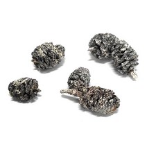 (주)아트인 초미니 솔방울(1봉지 145~160g)